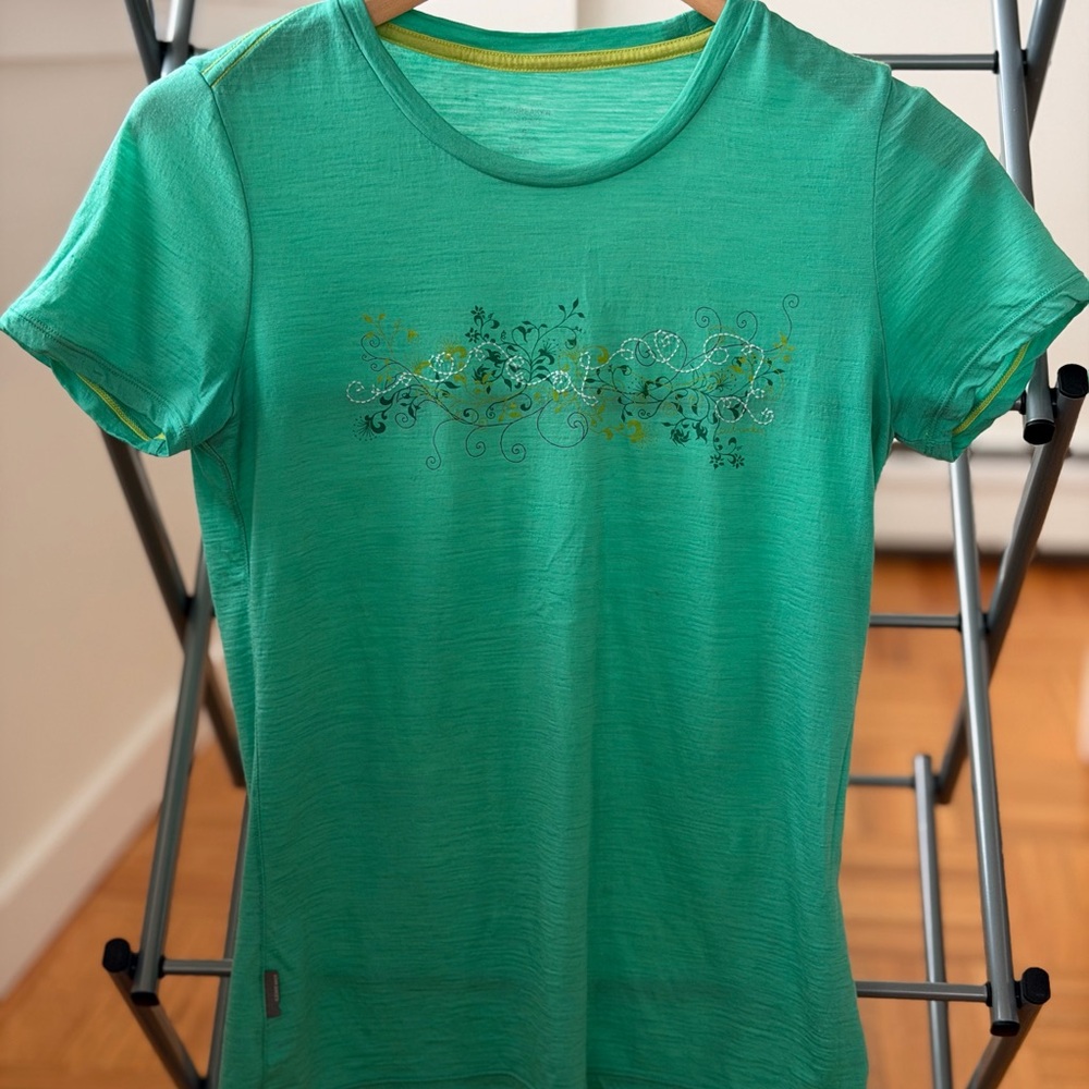 Embroidered icebreaker Merino wool women’s S T-shirt Green Short Sleeve